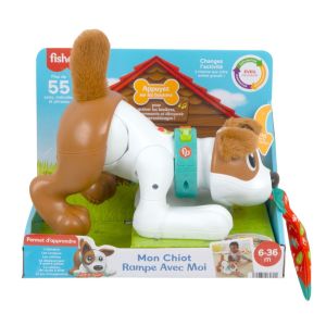 Image : Mon Chiot Rampe Avec Moi FISHER PRICE