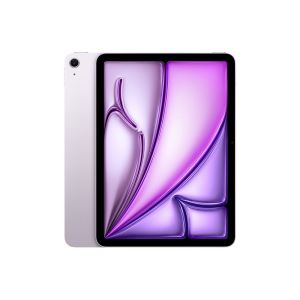 iPad 256 Go