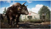 Image : Far Cry 5 PS4