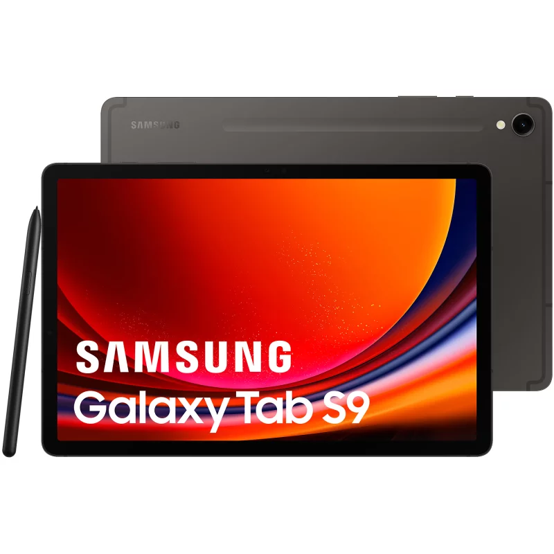 Image : Tablette SAMSUNG Galaxy Tab S9 11 Wifi 128Go Gris