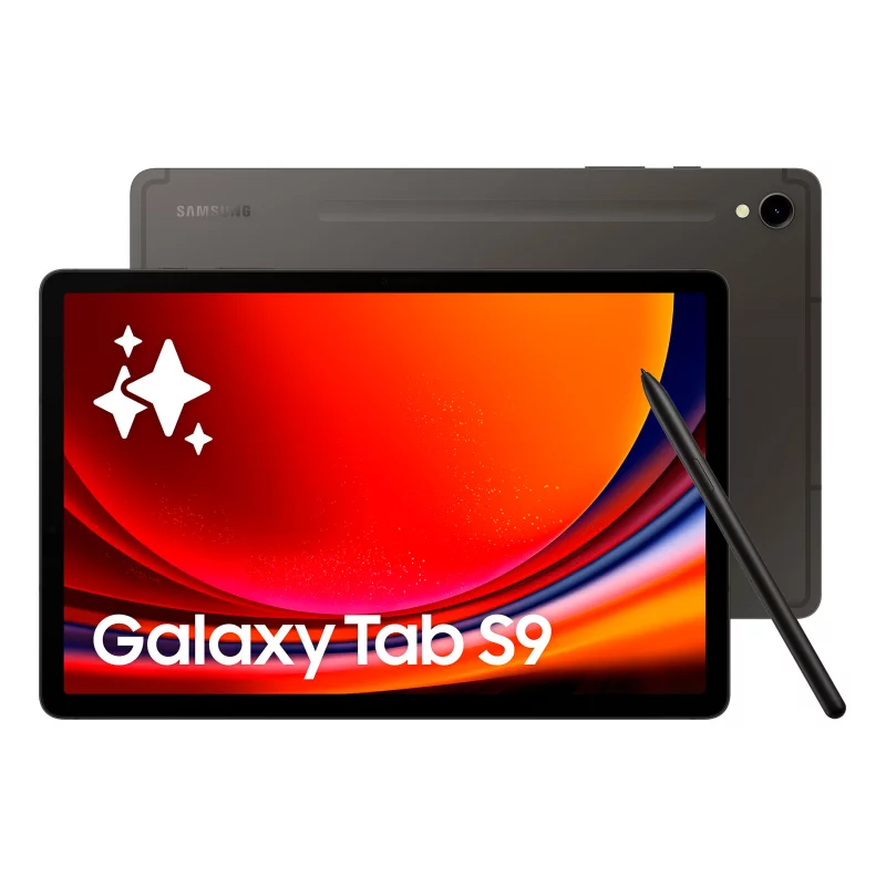 Image : Tablette SAMSUNG Galaxy Tab S9 11 Wifi 256Go Gris