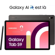 Image : Tablette SAMSUNG Galaxy Tab S9 11 Wifi 256Go Gris