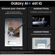 Image : Tablette SAMSUNG Galaxy Tab S9 11 Wifi 256Go Gris