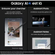 Image : Tablette SAMSUNG Galaxy Tab S9 Ultra 14.6 Wifi 512Go Gris
