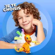 Image : Mega Construx - Pokemon - Salameche