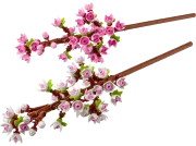 LEGO 40725 Les fleurs de cerisier