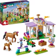 LEGO Friends 41746 Le dressage equestre