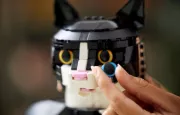 Image : LEGO Ideas 21349 Le chat bicolore