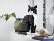 Image : LEGO Ideas 21349 Le chat bicolore