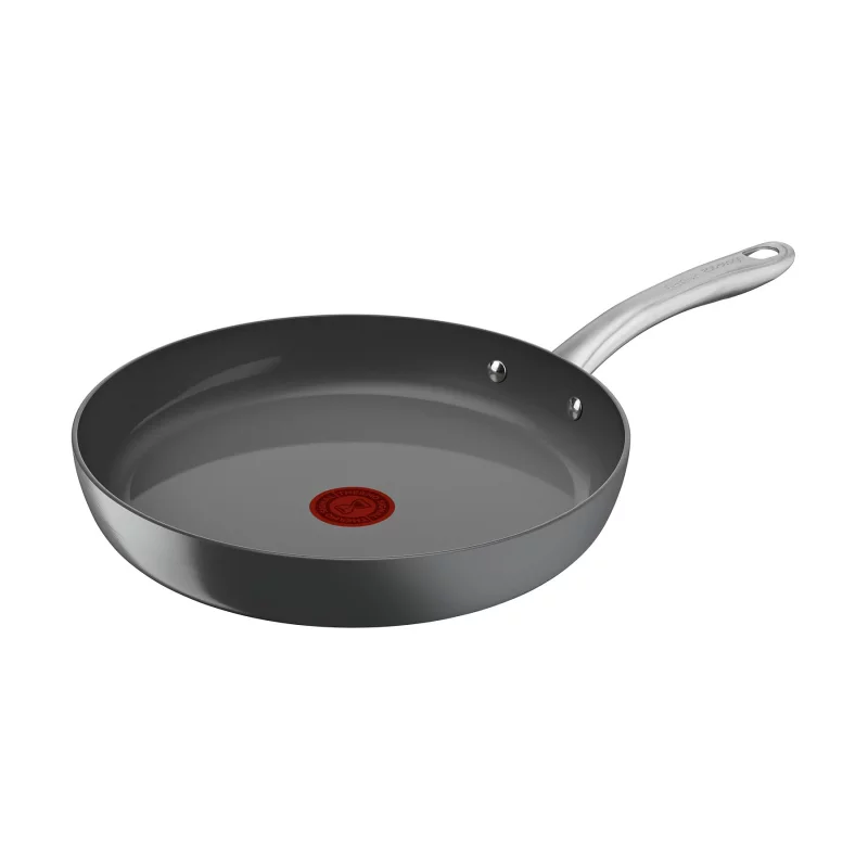 Image : Poele Tefal Renew+ eco-concue 30 cm Gris Hippo Iron