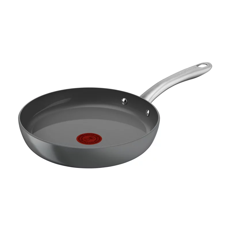 Image : Poele Tefal Renew+ eco-concue 24 cm Gris