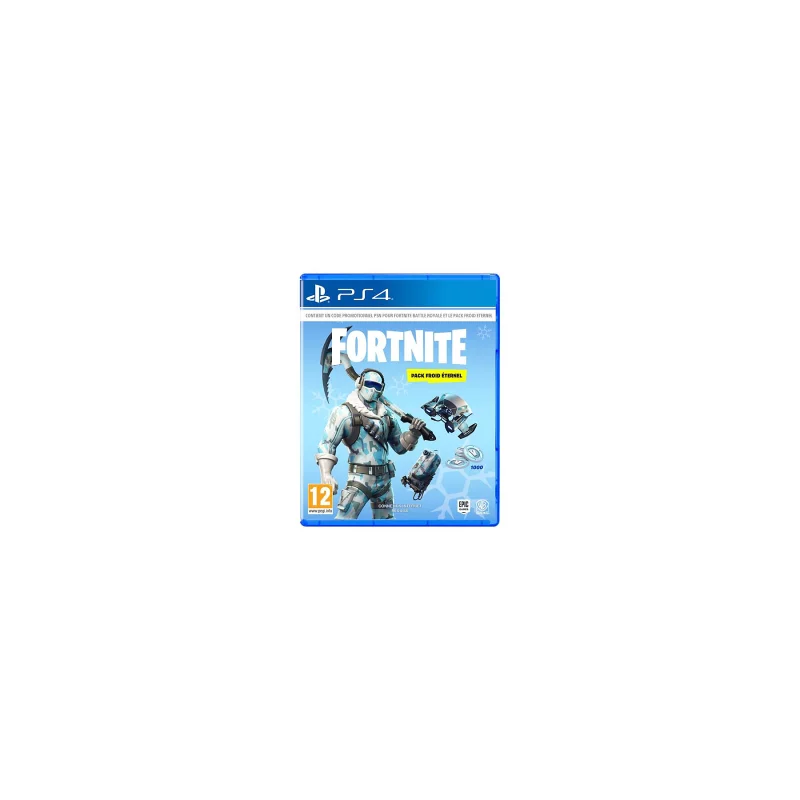Image : Fortnite : Pack froid eternel PS4