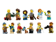 Image : LEGO 21353 Le jardin botanique Ideas