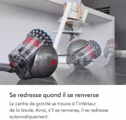 Image : Dyson Big Ball Absolute 2 Aspirateur