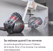 Image : Dyson Big Ball Absolute 2 Aspirateur