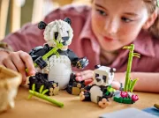 Image : LEGO 31165 Animaux sauvages : la famille de pandas Creator