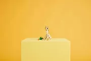 Image : LEGO 31162 L’adorable lapin Creator