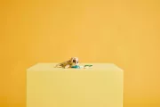 Image : LEGO 31162 L’adorable lapin Creator