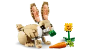 Image : LEGO 31162 L’adorable lapin Creator