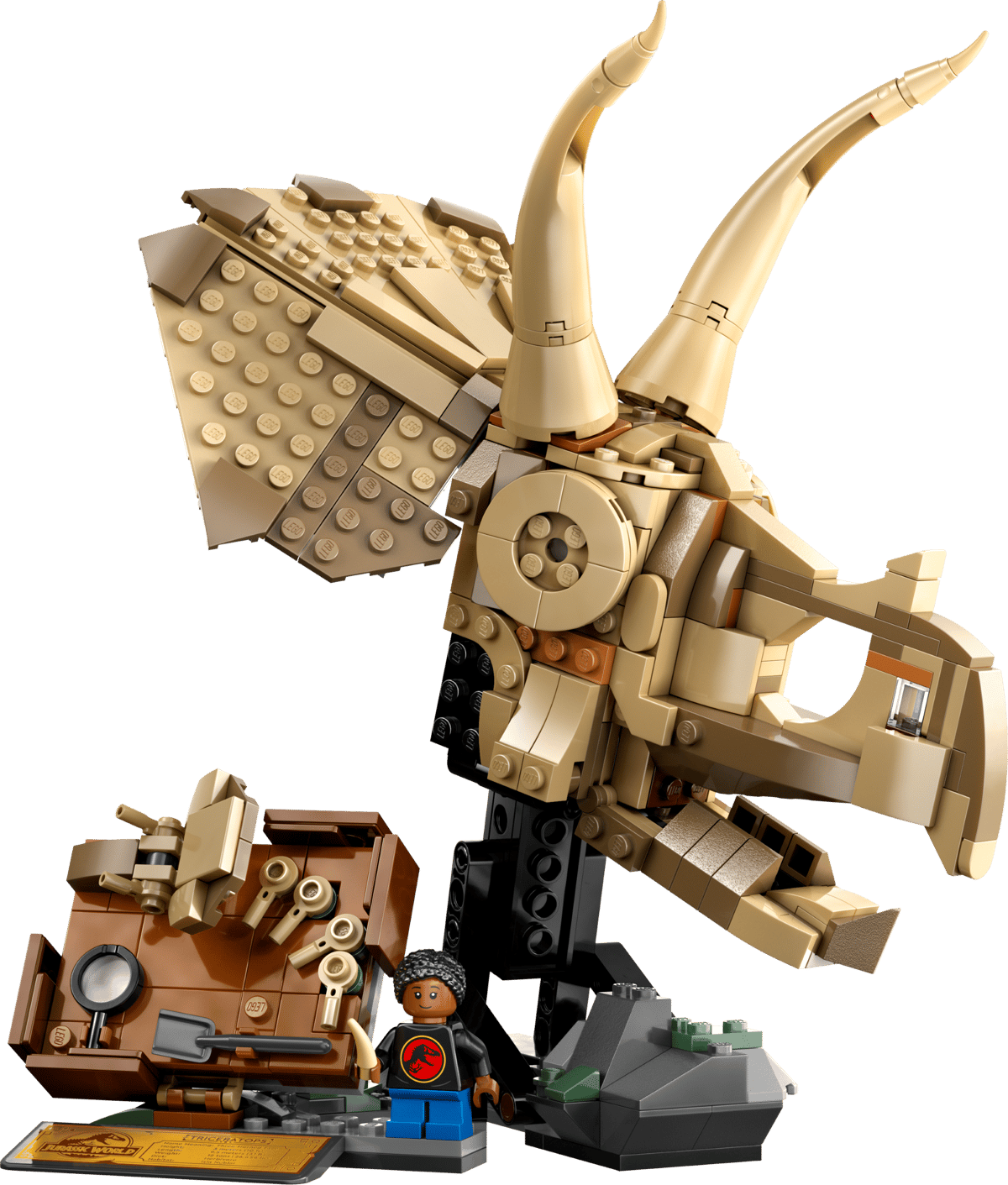 Image : LEGO 76969 Les fossiles de dinosaures: le crane du triceratops Jurassic World
