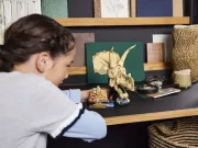 Image : LEGO 76969 Les fossiles de dinosaures: le crane du triceratops Jurassic World