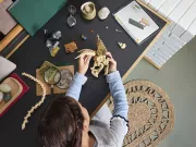 Image : LEGO 76969 Les fossiles de dinosaures: le crane du triceratops Jurassic World