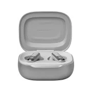 Image : JBL Live Flex 3 Argent Ecouteurs