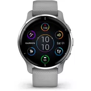 Garmin Venu 2 Plus Argent avec bracelet Gris