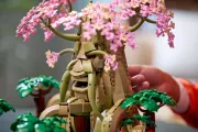 Image : LEGO 77092 Vénérable Arbre Mojo 2-en-1 The Legend of Zelda