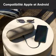 Image : BEATS Pill Champagne Enceinte portable