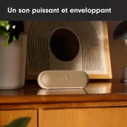 Image : BEATS Pill Champagne Enceinte portable