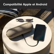 Image : BEATS Pill Champagne Enceinte portable