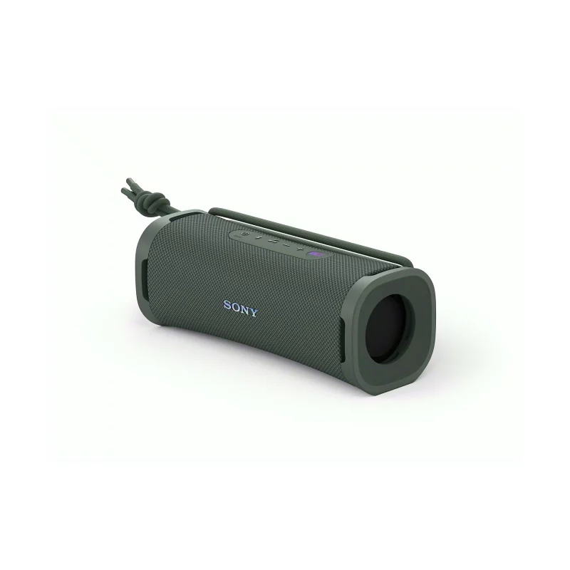 Image : Sony Bluetooth ULT Field 1 Gris forêt Enceinte
