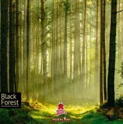 Black Forest de SUPER MEEPLE