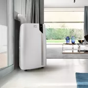 Image : Delonghi Pingouin PAC EX93 Extreme Climatiseur portable