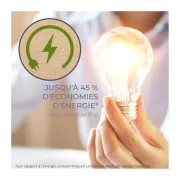 Image : CALOR GV9E20C0 Centrale vapeur