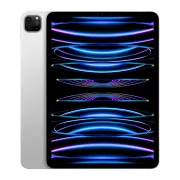 Apple iPad Pro 11' M2 2To Argent Wifi Fin 2022 - MNXN3NF/A