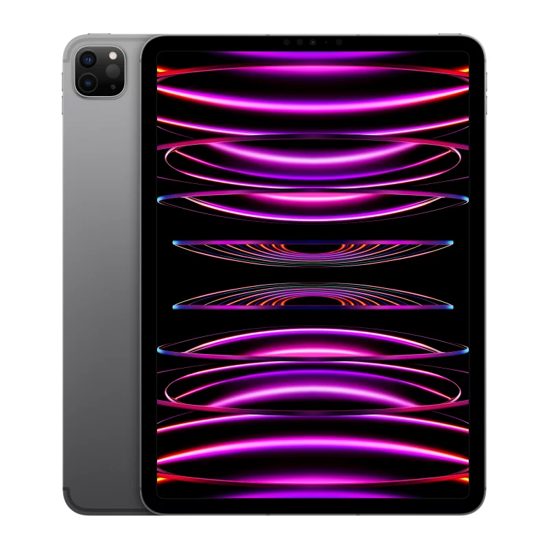 Image : Apple iPad Pro 11' M2 2To Gris Sidéral Wifi 4G Fin 2022 - MNYL3NF/A