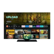 PANASONIC TV-65Z80AEZ TV OLED 65'