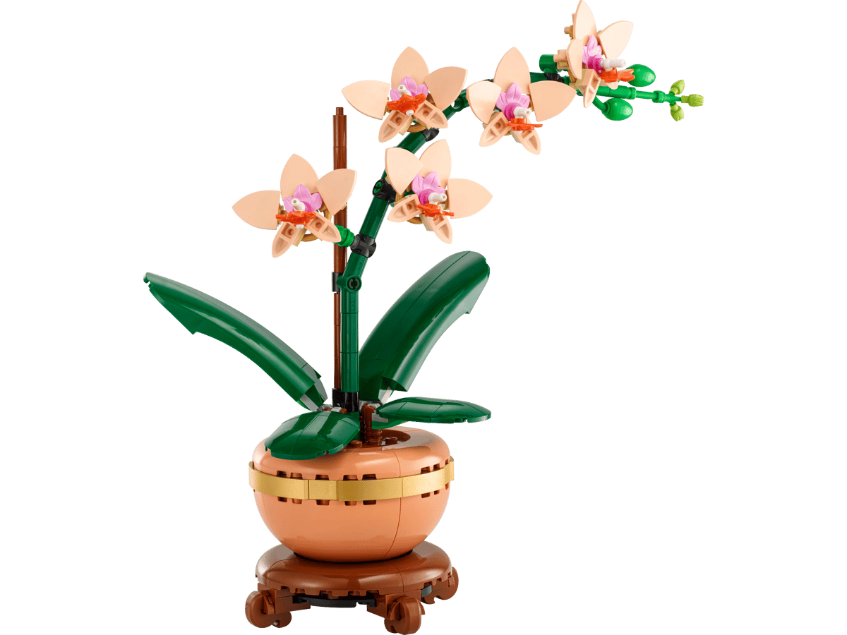 Image : LEGO 10343 L'orchidée miniature Botanicals