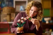 Image : LEGO 10343 L'orchidée miniature Botanicals