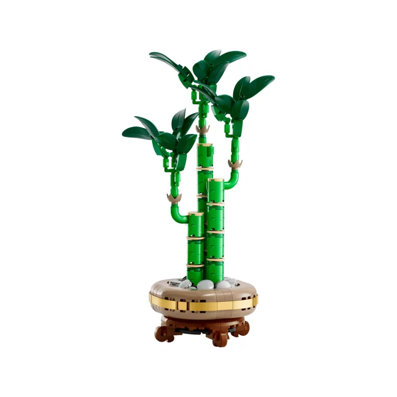 Image : LEGO 10344 Le bambou de la chance Botanicals