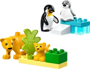 LEGO 10442 Familles d'animaux sauvages: pingouins et lions DUPLO