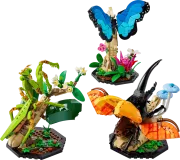 LEGO 21342 La collection d'insectes Ideas
