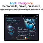 Image : Apple iPad Air 11' M3 128 Go Wifi 2025 Gris Sidéral - MC9W4TY/A
