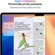 Image : Apple MacBook Air 13' 256 Go SSD 16 Go M4 Bleu Ciel - MC6T4FN/A