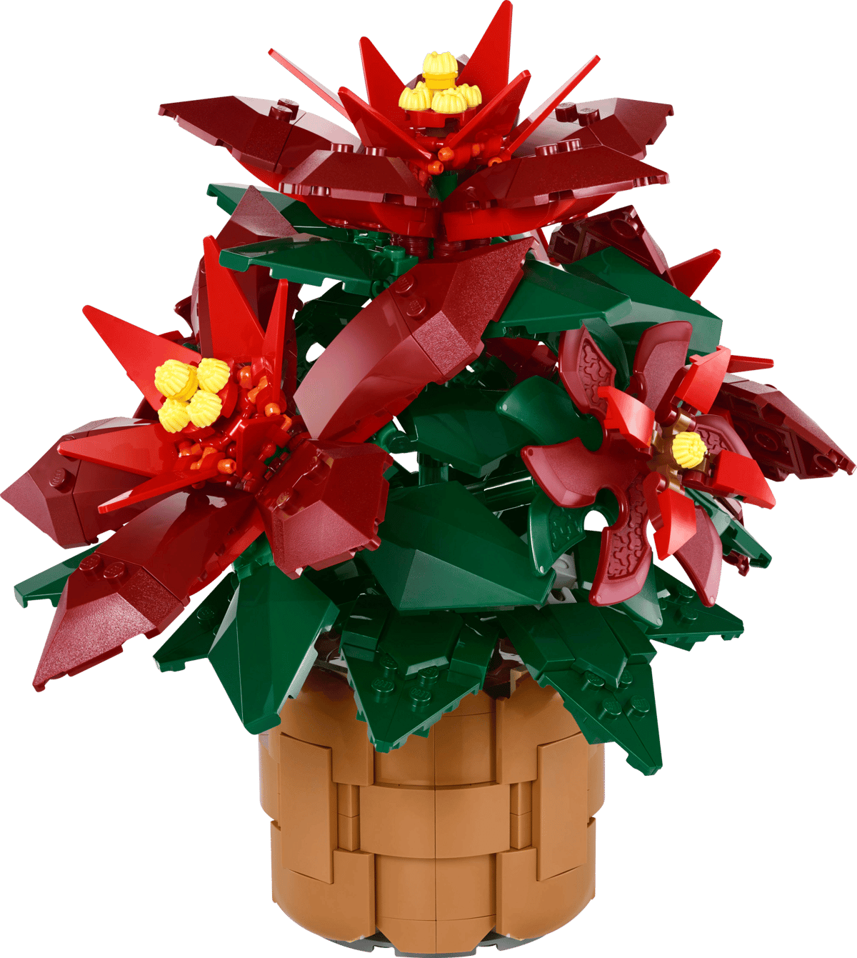 Image : LEGO 10370 L'étoile de Noël The Botanical Collection