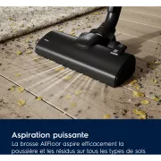 Image : ELECTROLUX EB51A4OG Aspirateur avec sac