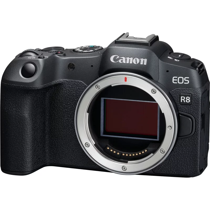 Image : CANON EOS R8 boitier nu Appareil photo Hybride