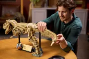 Image : LEGO 76968 Les fossiles de dinosaures: le Tyrannosaurus rex Jurassic World